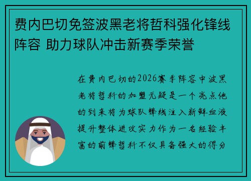 费内巴切免签波黑老将哲科强化锋线阵容 助力球队冲击新赛季荣誉